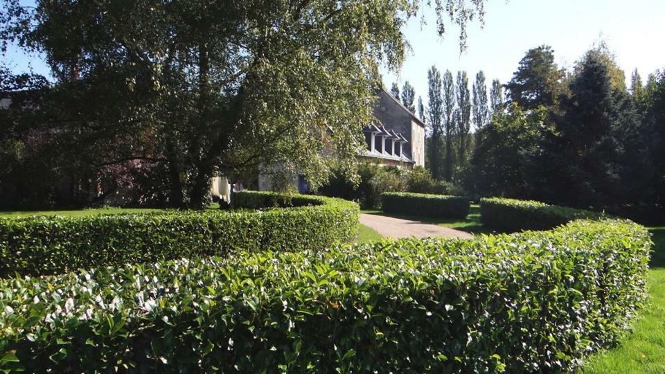 Reugny  Le Moulin De Chareau Bed & Breakfast エクステリア 写真